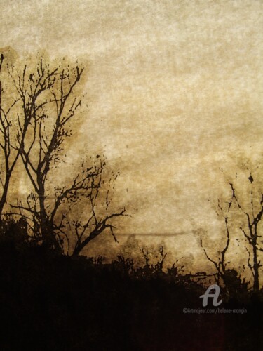 Photographie intitulée "helene-mongin-arbor…" par Hélène Mongin, Œuvre d'art originale