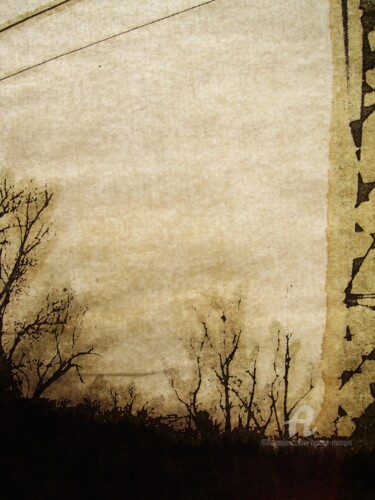 Photographie intitulée "helene-mongin-arbor…" par Hélène Mongin, Œuvre d'art originale