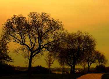 Digital Arts titled "DIGITAL SUNSET" by Janos Gardonyi, Original Artwork, Digital Painting