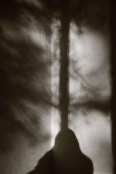 「introspection」というタイトルの写真撮影 Gerard Jeanjeanによって, オリジナルのアートワーク