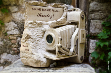 Sculpture intitulée "Appareil photos" par Trizan, Œuvre d'art originale