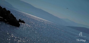 Photographie intitulée "Jonathan Livingston…" par Thierry Magliulo (Th.Mag), Œuvre d'art originale