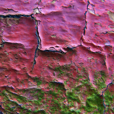 Photographie intitulée "Roselyne" par Claude Guillemet, Œuvre d'art originale, Photographie numérique