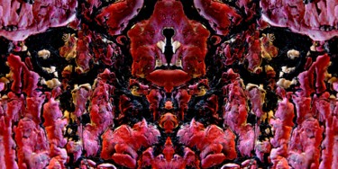 Photographie intitulée "alien2.jpg" par Claude Guillemet, Œuvre d'art originale, Photographie numérique