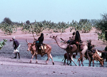Photographie intitulée "Bororos.jpg" par Claude Guillemet, Œuvre d'art originale, Photographie non manipulée
