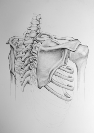 제목이 "Shoulder study.jpg"인 그림 Johann Krammer로, 원작, 연필