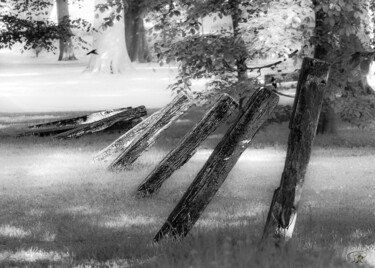Photographie intitulée "traverses" par Philippe Rozier (Photo-EOS), Œuvre d'art originale, Photographie numérique