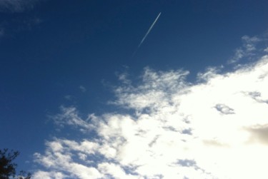 CE MATIN