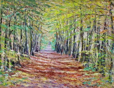 Lumière de nos sous-bois