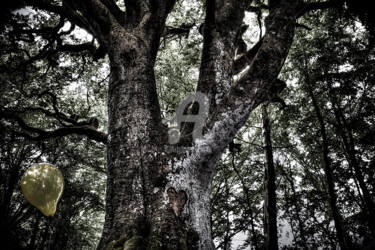 Photographie intitulée "L'arbre au coeur" par Alanig Keltz, Œuvre d'art originale