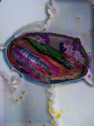 Photographie intitulée "100b0587moulereduit…" par Maxime Gourgues, Œuvre d'art originale, Photographie numérique