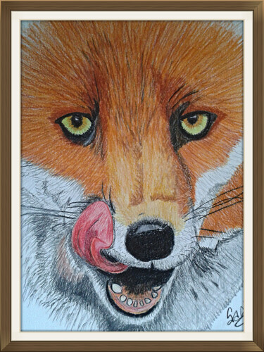 Drawing titled "Renard Roux" by Portraits De L'Âme, Original Artwork