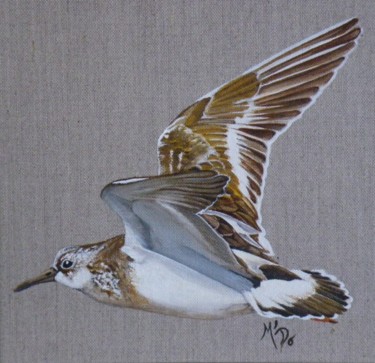 Peinture intitulée "Bécasseau en vol" par M'Do, Œuvre d'art originale, Acrylique