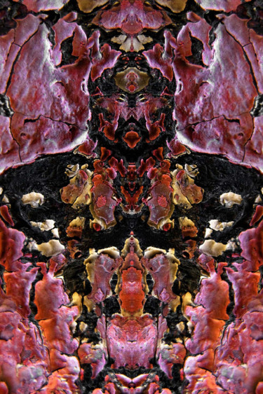 Photographie intitulée "Alien" par Claude Guillemet, Œuvre d'art originale, Photographie numérique