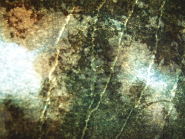 Photographie intitulée "helenemonginssa4502…" par Hélène Mongin, Œuvre d'art originale