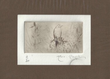 Printmaking titled ""Oiseau" de Marc-Ré…" by André Colpin, Original Artwork, Etching