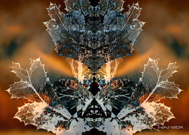 Photographie intitulée "Dentelles d'Automne" par Pascal Chanier, Œuvre d'art originale