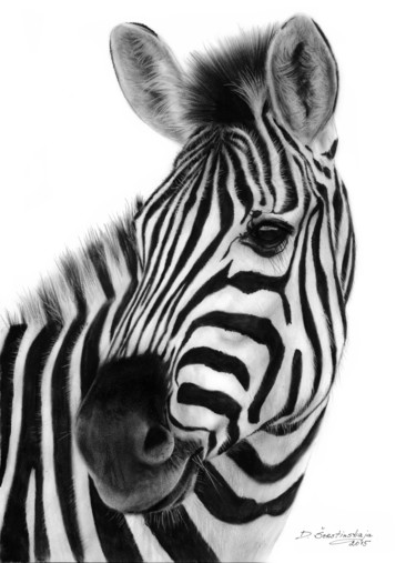 Painting titled "Zebra" by Danguole Serstinskaja, Original Artwork, Oil