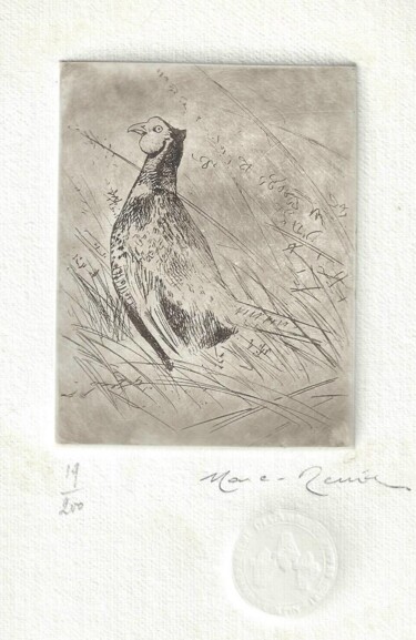 Gravures & estampes intitulée "Faisan de Marc-Réni…" par André Colpin, Œuvre d'art originale, Eau-forte
