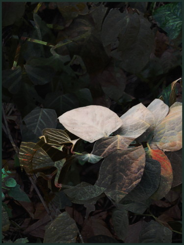摄影 标题为“feuilles-d-automne1…” 由Chupalia, 原创艺术品