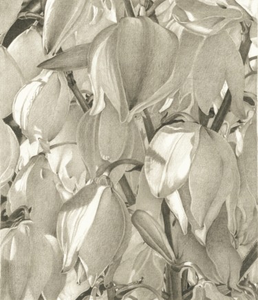 图画 标题为“BLOSSOM” 由Nives Palmić, 原创艺术品, 石墨