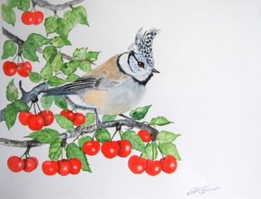 Peinture intitulée "mésange huppée - aq…" par Patricia Giroldini Hyvernat, Œuvre d'art originale, Aquarelle