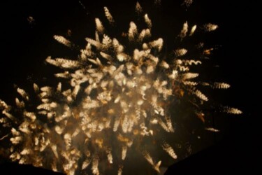 Photography titled "IMG_6797.jpg" by Edward Chernesky, Original Artwork