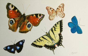 collection papillons - aquarelle signée Painting titled "collection papillon…" by Patricia Giroldini Hyvernat, Original Artwork, Watercolor