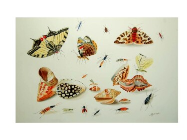 Painting titled "coquillages-et-inse…" by Patricia Giroldini Hyvernat, Original Artwork, Watercolor