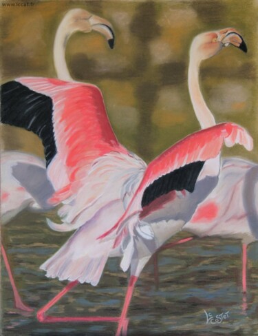 Peinture intitulée "Flamand rose" par Catherine Costet (Lccat), Œuvre d'art originale, Pastel