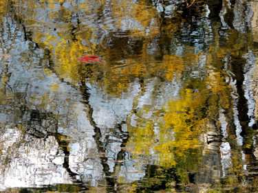 Photographie intitulée "Estafilade" par Loïc Le Douce (logan108), Œuvre d'art originale