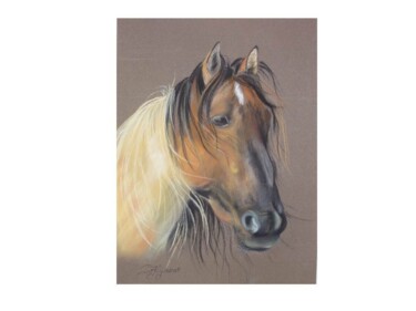 图画 标题为“idalgo -pastel orig…” 由Patricia Giroldini Hyvernat, 原创艺术品, 粉彩