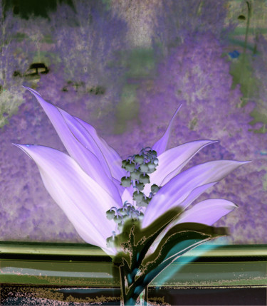 Photographie intitulée "revumuguet2015-12-2…" par Maxime Gourgues, Œuvre d'art originale