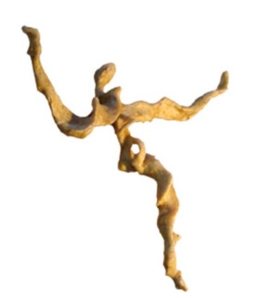 Sculpture intitulée "christ des animaux" par Christophe Challier, Œuvre d'art originale, Autre