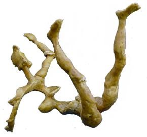 Sculpture intitulée "spider" par Christophe Challier, Œuvre d'art originale