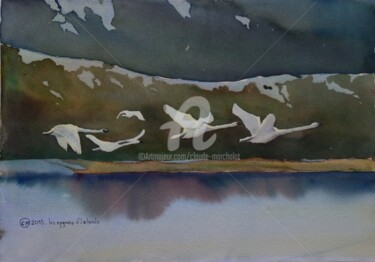 Vol de cygnes