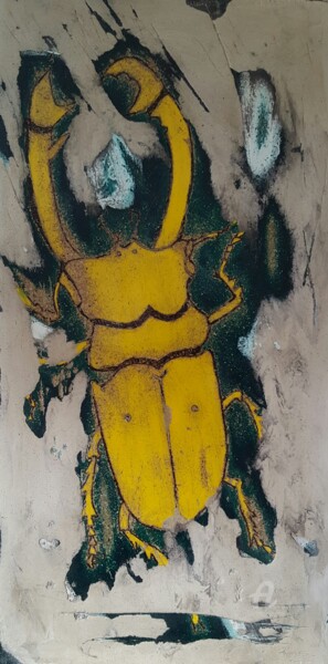 le scarabé jaune A. N°38