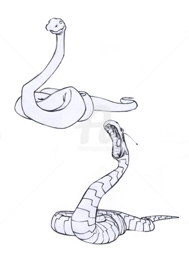 Drawing titled "python2" by Thierry Goulard, Original Artwork, Digital Photography