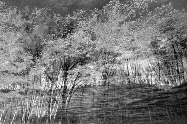 Photography titled "Inversion" by Philippe Berthier, Original Artwork, Analog photography