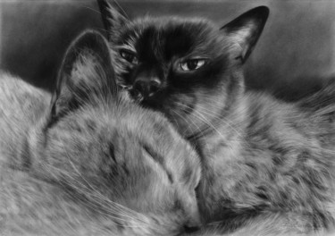 Schilderij getiteld "Burmese Cats" door Danguole Serstinskaja, Origineel Kunstwerk, Olie