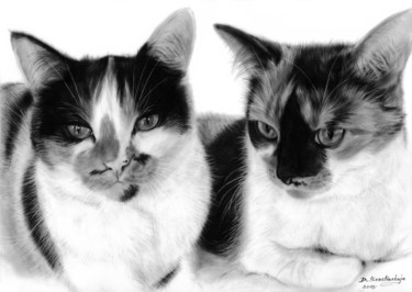 绘画 标题为“Tortoiseshell Cats” 由Danguole Serstinskaja, 原创艺术品, 油