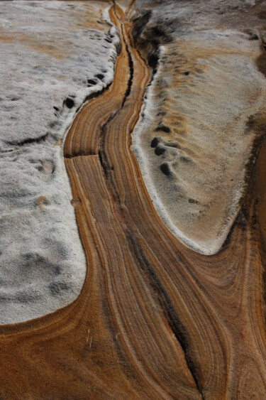 Photography titled "Giant Clam" by Elke Matthaeus, Original Artwork
