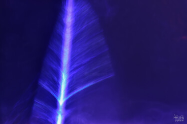 La plume vortex. Photographie intitulée "La plume vortex." par Rachèd Zarraï Miladi (Le mutagraphe), Œuvre d'art originale