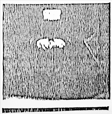 Drawing titled "untitled (after Hol…" by Scott Short, Original Artwork, Ink
