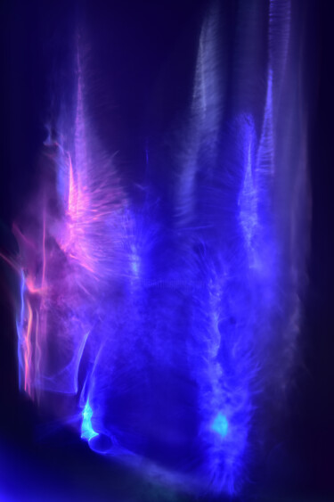 Forêt colorée. Fotografía titulada "Forêt colorée." por Rachèd Zarraï Miladi (Le mutagraphe), Obra de arte original
