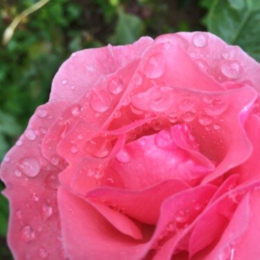 Photography titled "Drops of tears on m…" by Kaola Oty, Original Artwork, Acrylic