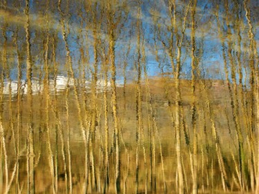 Photography titled "La Mécanique des Co…" by Philippe Berthier, Original Artwork, Digital Photography