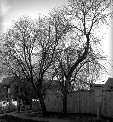 Photography titled "2 vieux amis" by Richard Raveen Chester, Original Artwork