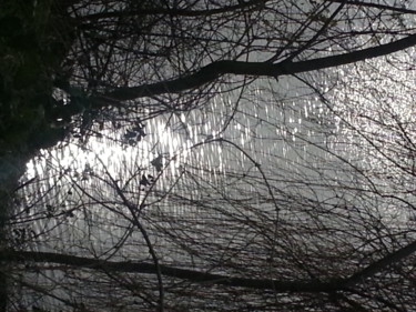 Reflets sur le lac