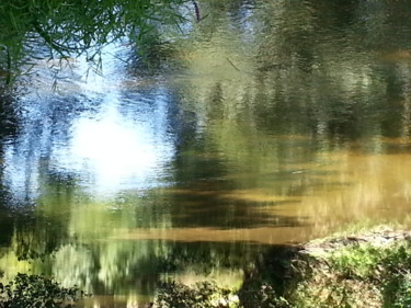 Reflets de Sauldre 1